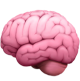 brain icon